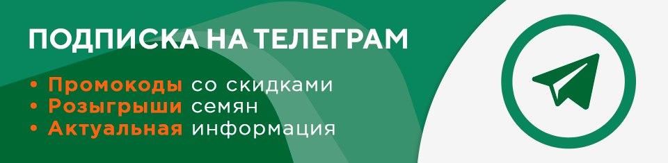 телеграмм канал семена конопли