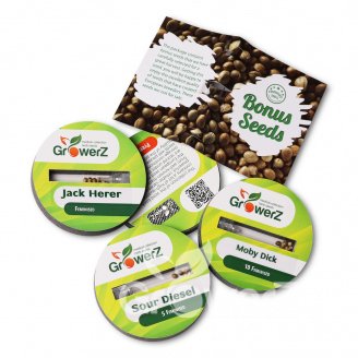 Girl Scout Cookies Fem.