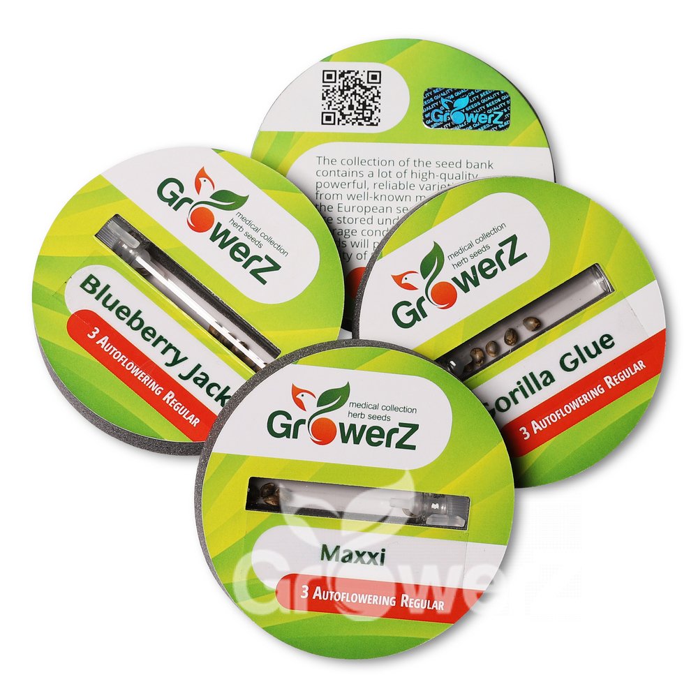 Critical Jack Auto Reg.