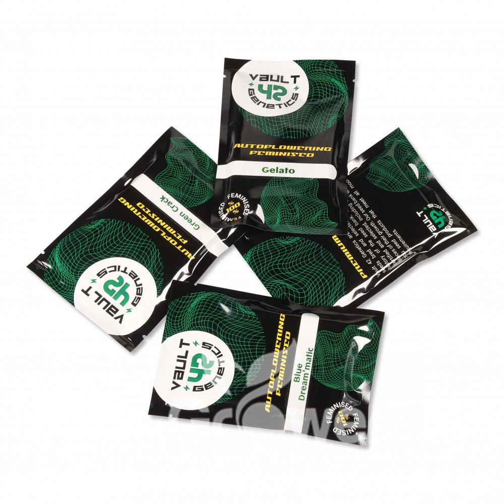 Crystal Meth Auto Fem.