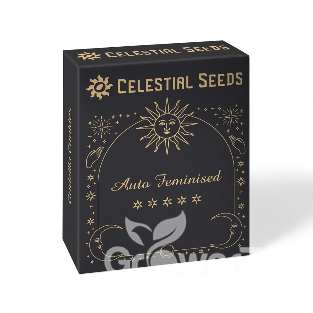 Quarter Pounder Auto Fem.