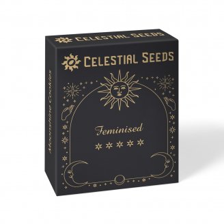 Семена конопли купить сорт Frosted Guava Fem. Семена конопли купить сорт Frosted Guava Fem.